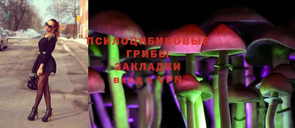 бошки Абаза