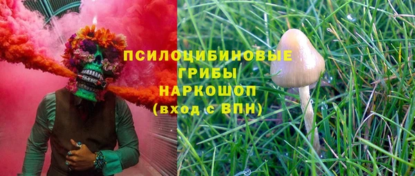 индика Осинники