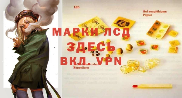 индика Осинники