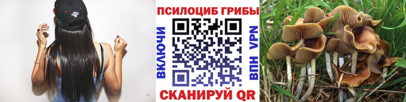 blacksprut зеркало  Рославль  Псилоцибиновые грибы ЛСД 